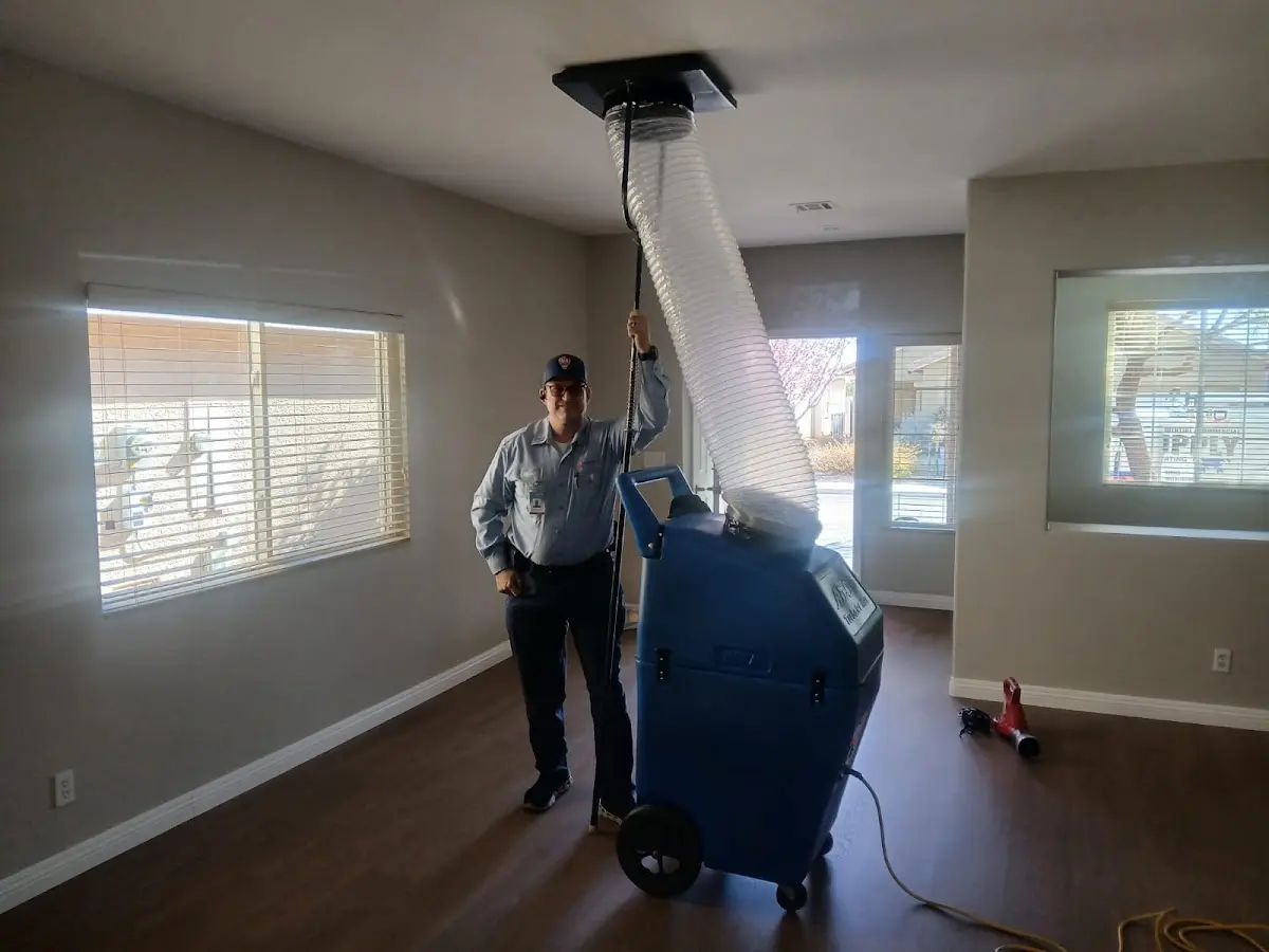 Professional Dryer Vent Cleaning work inside a Mount Olive home